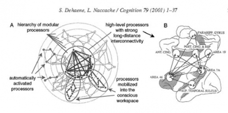 TOUT NE SERAIT IL QUE PHYSICO-CHIMIE CHEZ LE VIVANT?( additif 2) Capture.PNG DEHAENE.PNG