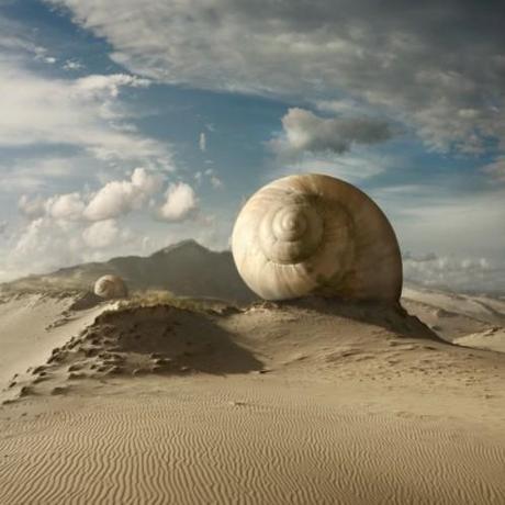 Dariusz_Klimczak_escargot Talent à suivre : Les photomontages surréalistes de Dariusz Klimczak