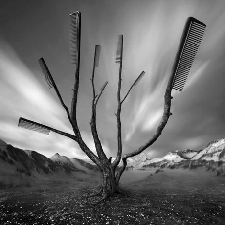 Dariusz_Klimczak_peignes_arbres Talent à suivre : Les photomontages surréalistes de Dariusz Klimczak