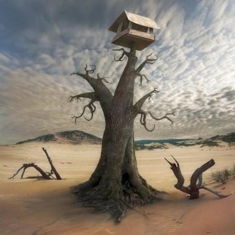 Dariusz_Klimczak_arbre Talent à suivre : Les photomontages surréalistes de Dariusz Klimczak