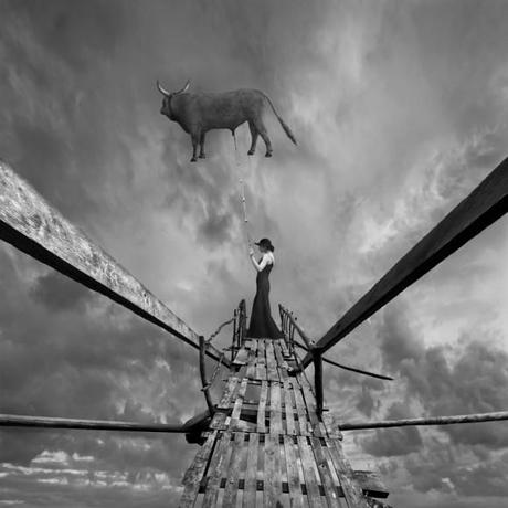 Dariusz_Klimczak_taureau Talent à suivre : Les photomontages surréalistes de Dariusz Klimczak