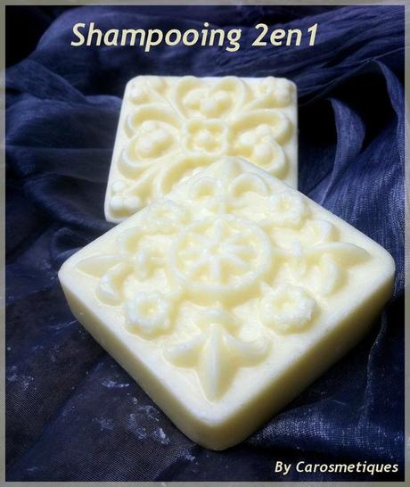shampooing 2en1