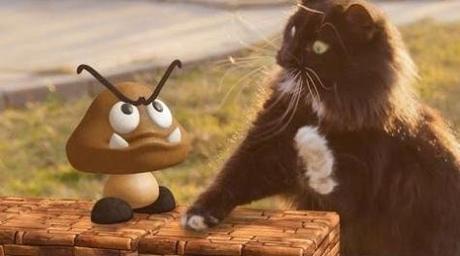 La vidéo du chat qui se prend pour Mario ! 20140413-125526.jpg