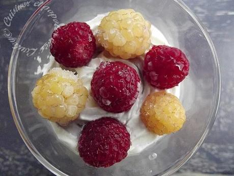 Tarte aux framboises destructurée DSCF8186