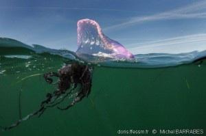 un peu de surréalisme image