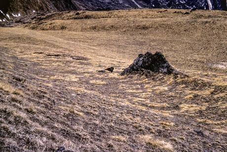 J186  - trek Langtang : encore plus haut...