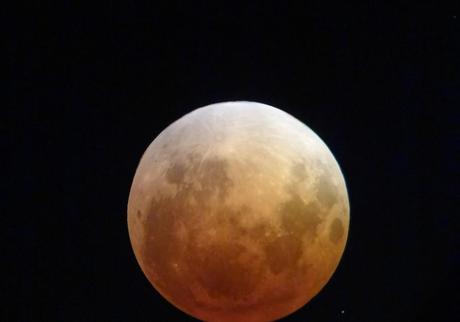 Eclipse totale de Lune du 15 avril 2014 photographiée par Paul Zoch