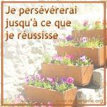 persevere_reussite