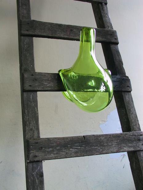 symposion-gymnasium-crystal-virus-ladder1 crystal-virus