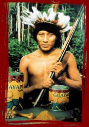 Guayapi Tropical : 10000 indiens ont gagné leur indépendance grâce au commerce équitable