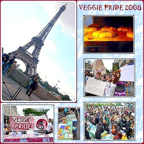 Veggie Pride & Cookies Géants Noix / Citron