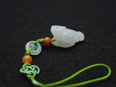 Grenouille de Fortune: caractéristiques et placements Grenouille de Fortune: caractéristiques et placements