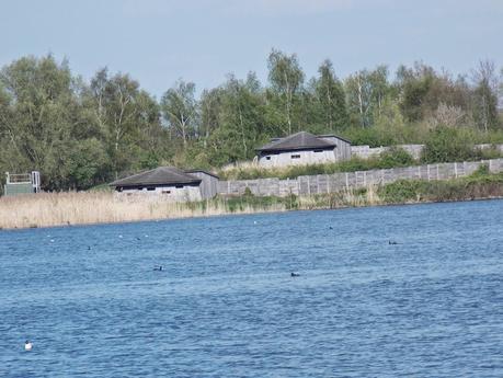 Balade au site ornithologique des 5 tailles à Thumeries