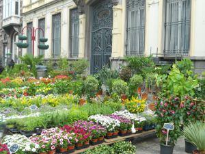 Une note de musique en plus et un marché aux fleurs DSCN2105