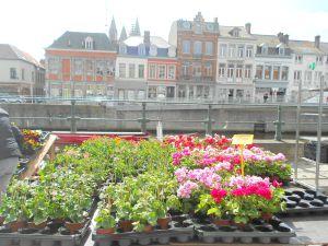 Une note de musique en plus et un marché aux fleurs DSCN2110