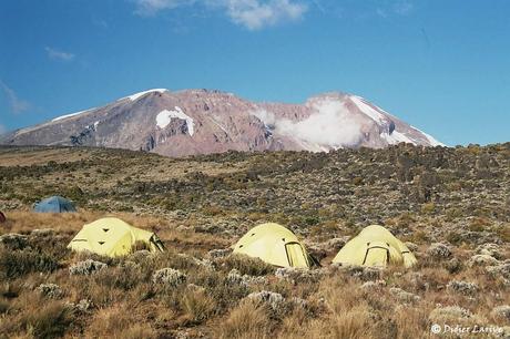 Le Kili émerge au loin....2ème bivouac à Shira Hut (3730 m)