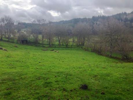 Verte promenade de Pâques Verte promenade de Pâques