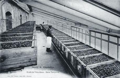 D'Euville à Arras... en passant par Epernay... Georges, à sa Maman D'Euville à Arras... en passant par Epernay... Georges, à sa Maman