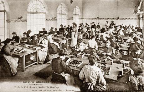 D'Euville à Arras... en passant par Epernay... Georges, à sa Maman D'Euville à Arras... en passant par Epernay... Georges, à sa Maman