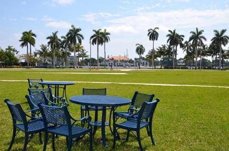 Ma vie en Floride du Sud #3 : West Palm Beach coverclematis