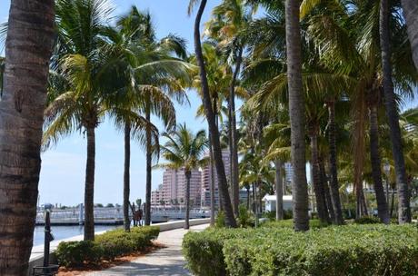 Ma vie en Floride du Sud #3 : West Palm Beach palmtreewpb