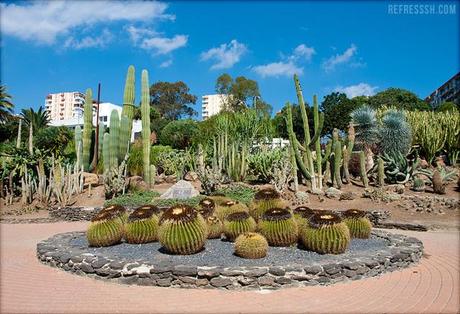 Cactus Garden in Parque de la Paloma