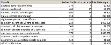Comment automatiser à 100% l’analyse des mots-clés de la longue traîne – 4/5 Mots-clé longue traine-4