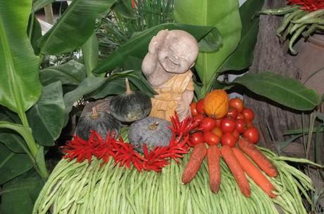 25 avril 2014: Udonthani, Exposition sur l’agriculture biologique. DSCF7919