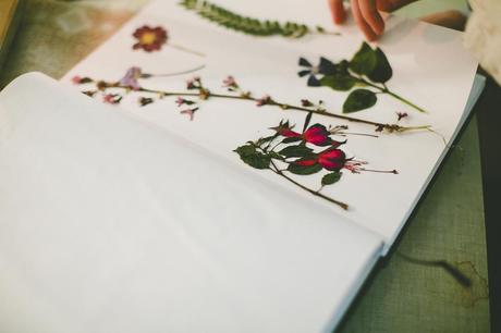 Comment sont fixés les prix sur Exploratology ? flower-book