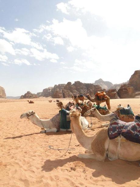 Jordanie: un moment magique au désert de Wadi Rum wadirum9