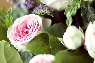 Aidez au Financement Participatif* du nouveau site ‘Comme une Rose’ ! block4