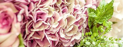 Aidez au Financement Participatif* du nouveau site ‘Comme une Rose’ ! block2