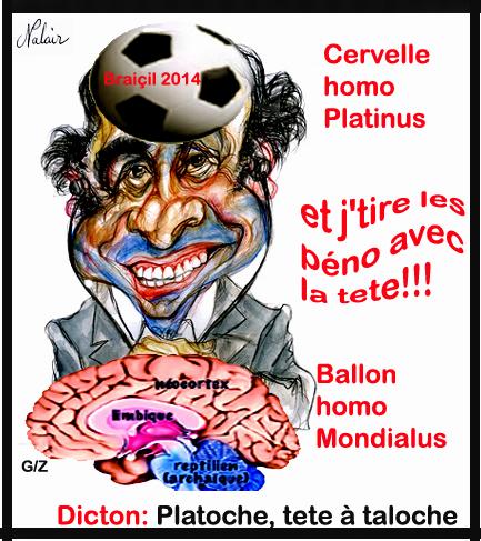 Platini : Dichotomie entre Ballon et Cerveau 