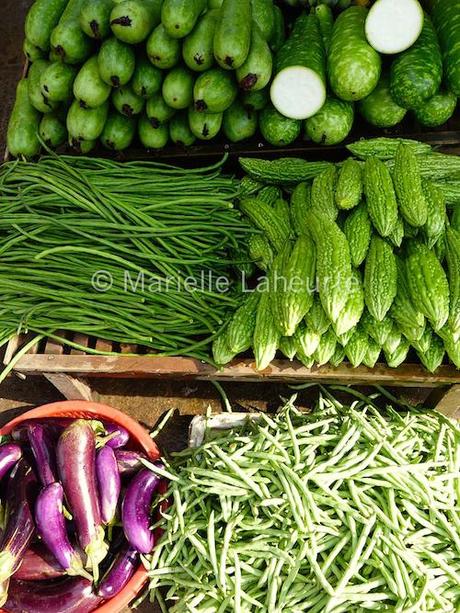 Questionnaire de Miss Tâm #5 : Marielle Laheurte et les rêves Légumes Vietnam copyright Marielle Laheurte