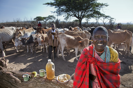 Ce qu’ils mangent en une journée, dans le monde ! Quatrieme epouse chef massai - Kenya