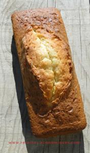 Quatre quarts thermomix ou sans quatre quarts maison tm31 ou pas (2)