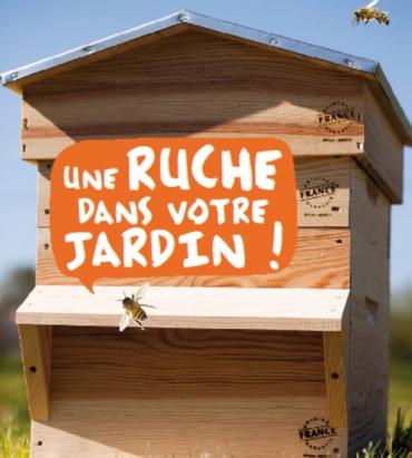 Installer une ruche dans son jardin : conseils et astuces