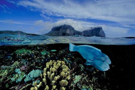 half-underwater-moitie-sous-l-eau-photo-mogwaii (24)