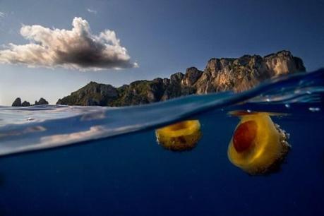 half-underwater-moitie-sous-l-eau-photo-mogwaii (27)