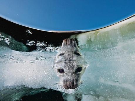 half-underwater-moitie-sous-l-eau-photo-mogwaii (30)