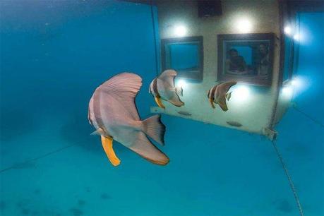 half-underwater-moitie-sous-l-eau-photo-mogwaii (13)