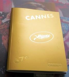 Comment suivre le 67° Festival de Cannes en restant chez soi? TV, multi-écrans... Comment suivre le 67° Festival de Cannes en restant chez soi? TV, multi-écrans...