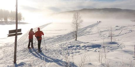 Mon top 10 Oslo: N°8: Oslo, le paradis des skieurs