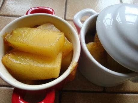 Ananax antillais cookeo usb Ananax antillais cookeo usb