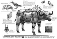 evoluez-en-compagnie-danimaux-en-voie-de-disparition-robotises4 Internet is Magic #9 – Jouer dans un film porno, c’est pas si évident.