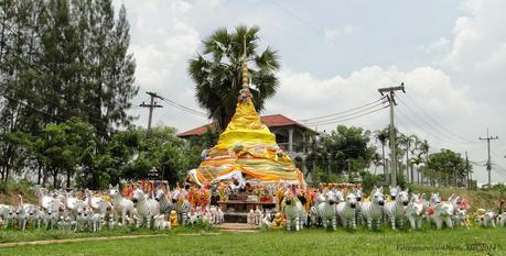 Udon-Thani Couleurs (Photos- feeling) Udon-Thani Couleurs (Photos- feeling)