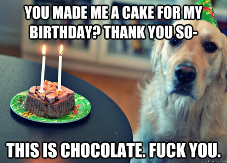 Sad-Birthday-Dog-you-made-me-a-cake-for-my-birthday-thank-you-so-this-is-ch