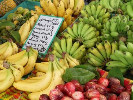 Parlote en Martiniiiiiiiiiiiiiiiiiiiiiique !!! Martinique 135