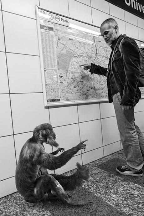 Y'a vraiment de drôles de zèbres dans le métro.... Dis donc mon pote t'as rendez-vous toi aussi à la clinique du cheveux?