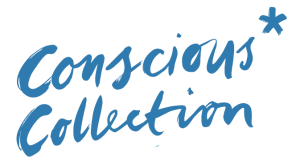 hm-conscious-collection-logo
